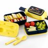 LUNCH BOX KIDS HEALTHY