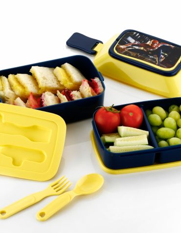 LUNCH BOX KIDS HEALTHY