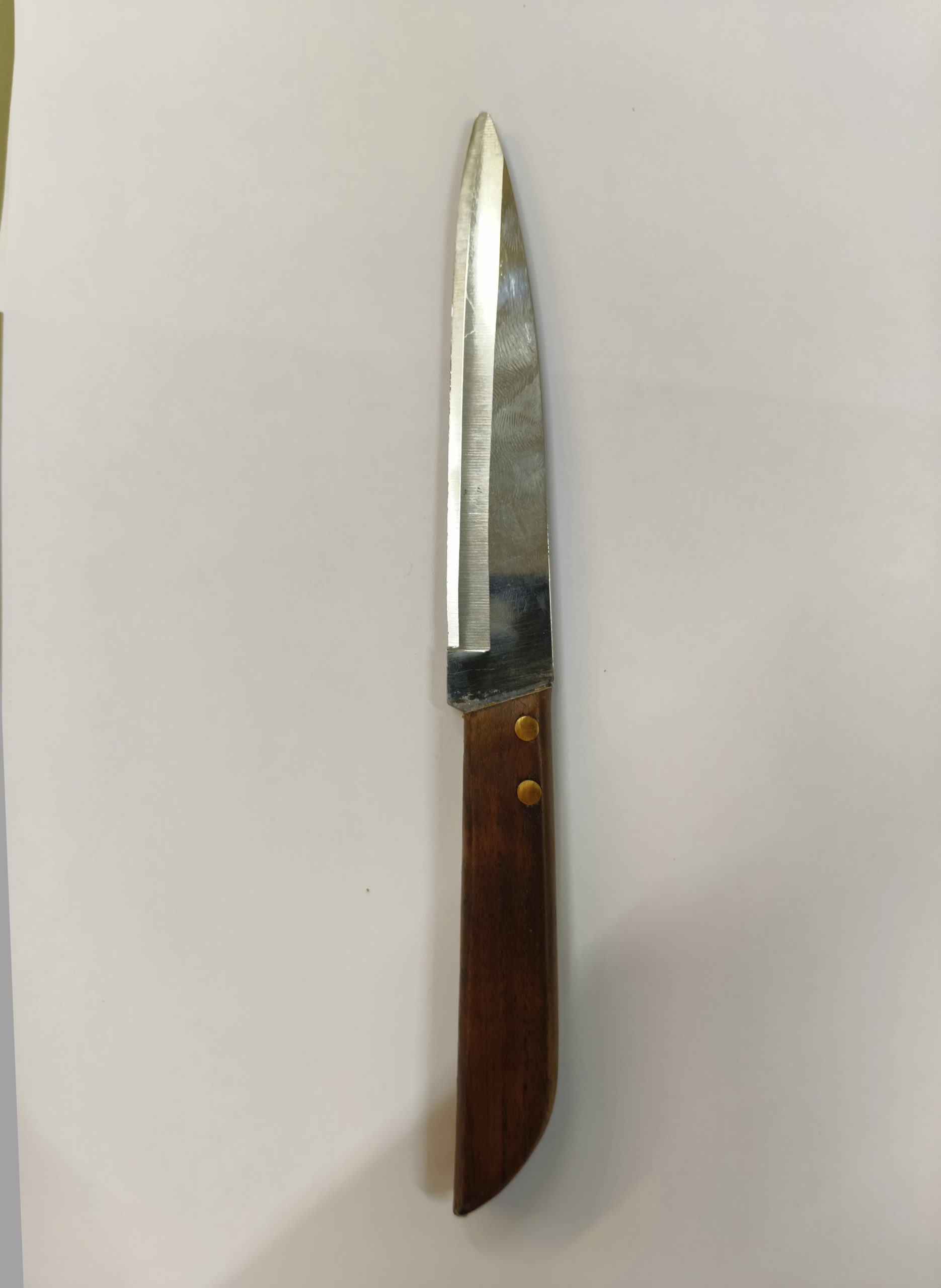 Small Knife Wooden Handal 8 Inch