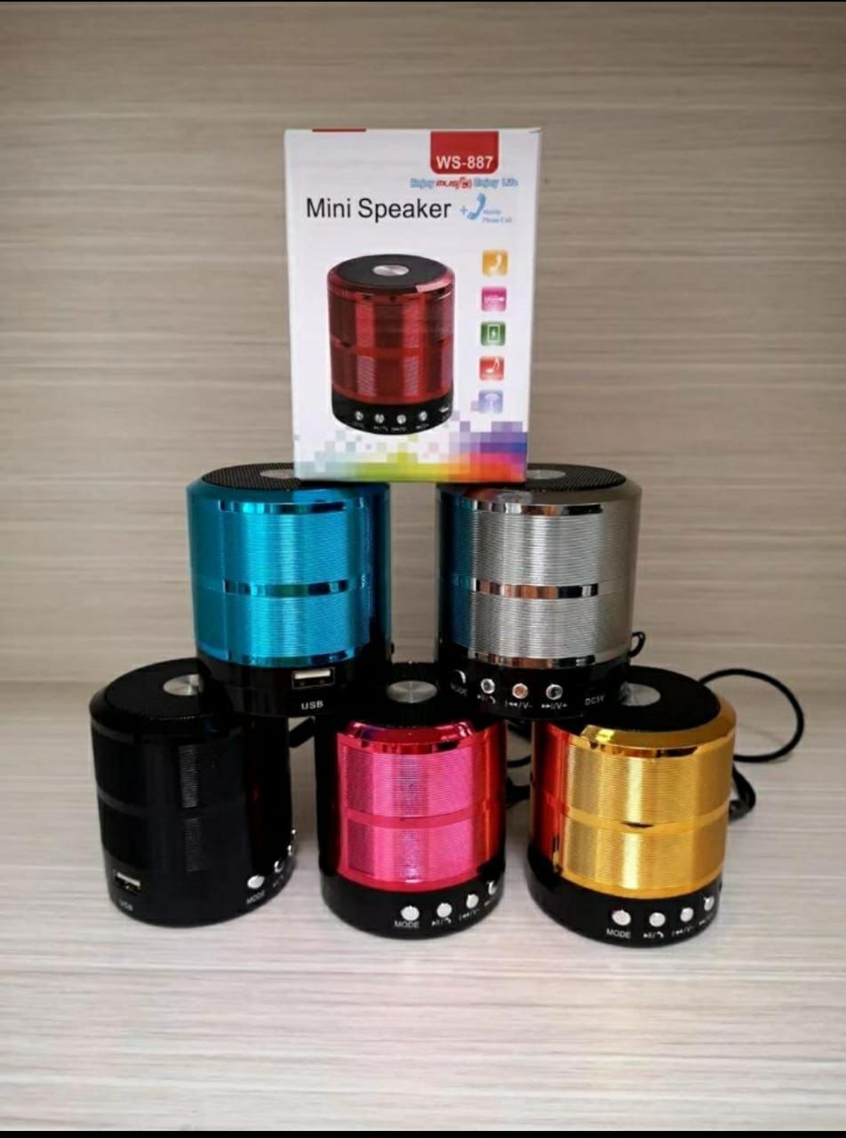 Portable Mini Speaker (Ws-887)